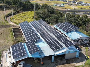 Sistema di tetto in metallo, Corea